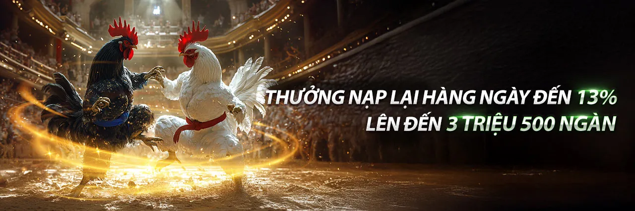 Trung tâm hỗ trợ khách hàng K9BET Khuyến Mãi